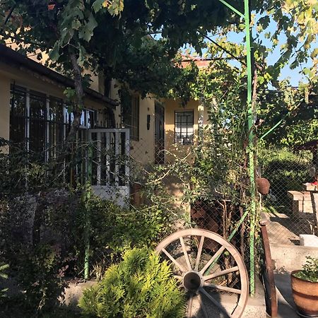 Guesthouse Planinsko Gnezdo Tuzha Экстерьер фото