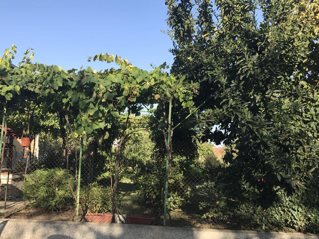 Guesthouse Planinsko Gnezdo Tuzha Экстерьер фото