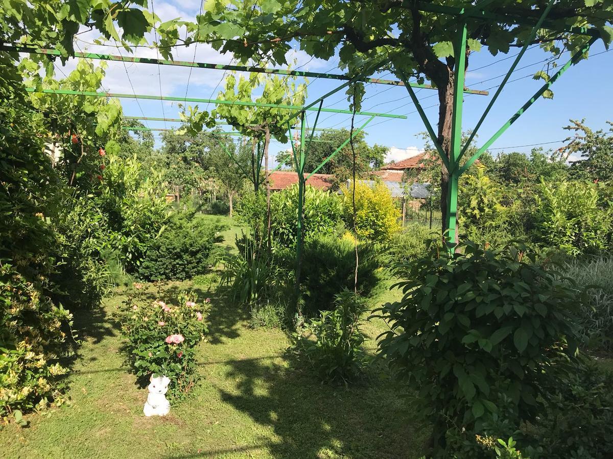 Guesthouse Planinsko Gnezdo Tuzha Экстерьер фото
